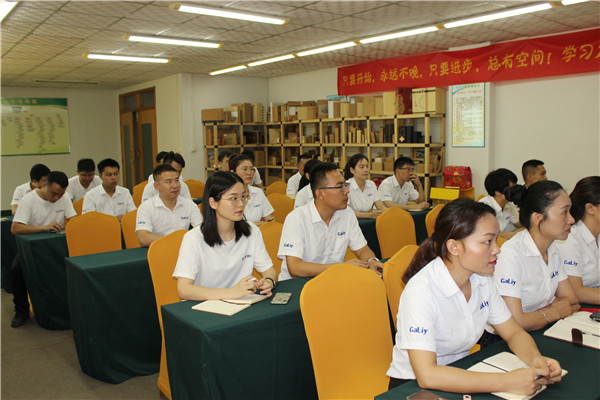 奮戰(zhàn)6月！伽立集團(tuán)銷售會順利召開